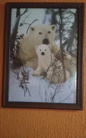 Two Beautiful Artwork Frame