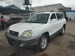 Hyundai Santa Fe 2002 White