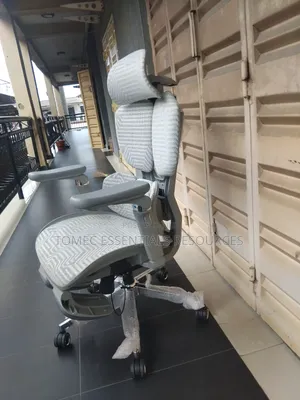 Super Quality Ergonomic Chair With Back Support