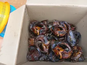 Elimac's Spiced Regular Smoked Catfish (Ready To Chew)