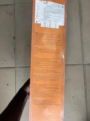 Professional Gas Blow Torch/Heating Torch