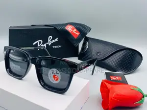 Polarized Ray Ban Sunglasses