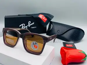 Polarized Ray Ban Sunglasses