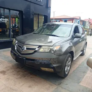 Acura MDX 2009 Gray