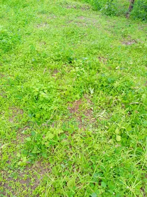 3,576sqm Filling Station Land At Kado