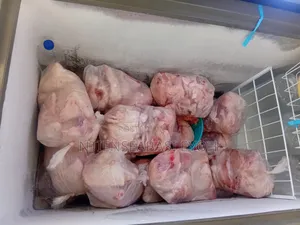 Broiler Chickens