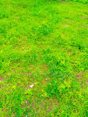 1,117sqm Residential Plot at Maitama 2