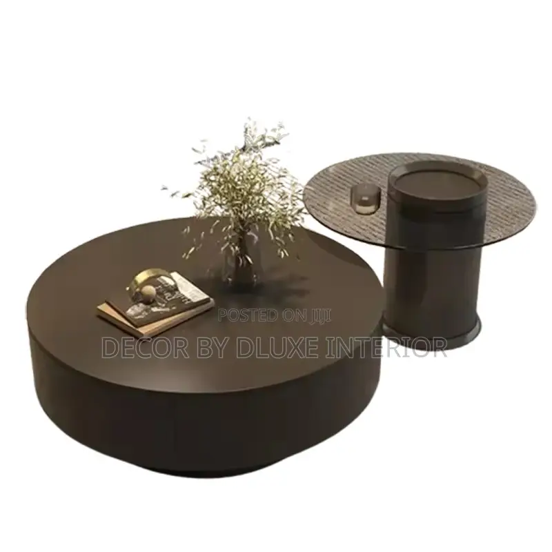 2in1 Modern Coffee Table