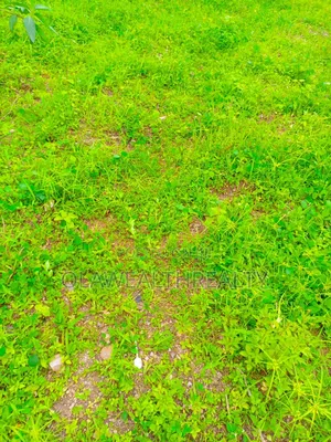 6,322sqm Housing Estate Land at Kagini