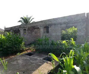1 Plot of Land