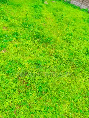 2 Hectares Housing Estate Land at Katampe Main