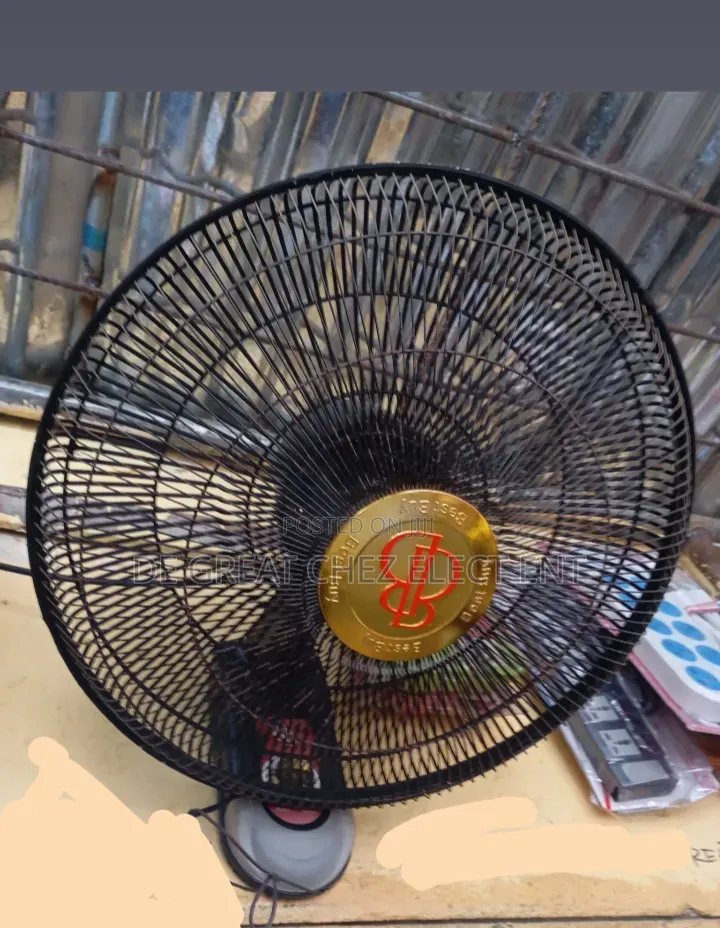 Wall Fan and Standing Fan