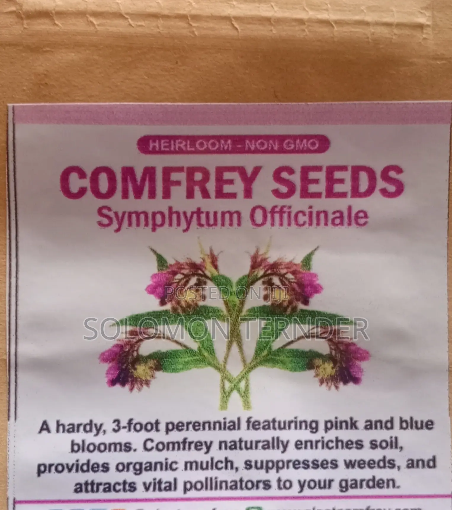 Comfrey Seeds For Planting