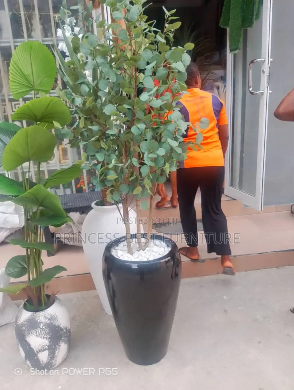 Flower and Pot