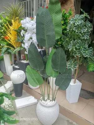 Interior Design Flower
