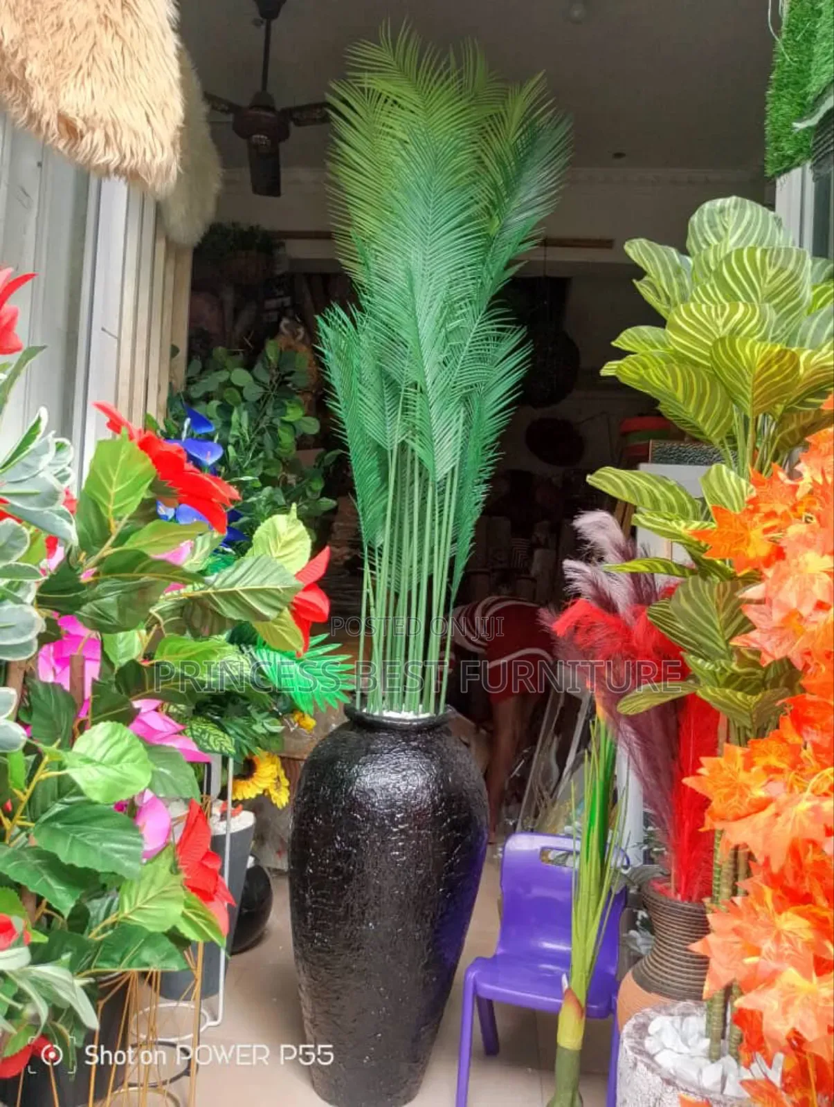 Black Flower for Interior Design