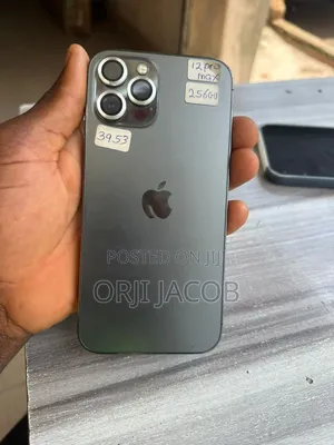 Apple iPhone 12 Pro Max 256 GB Gray