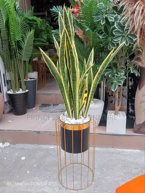 Flower for Office Use