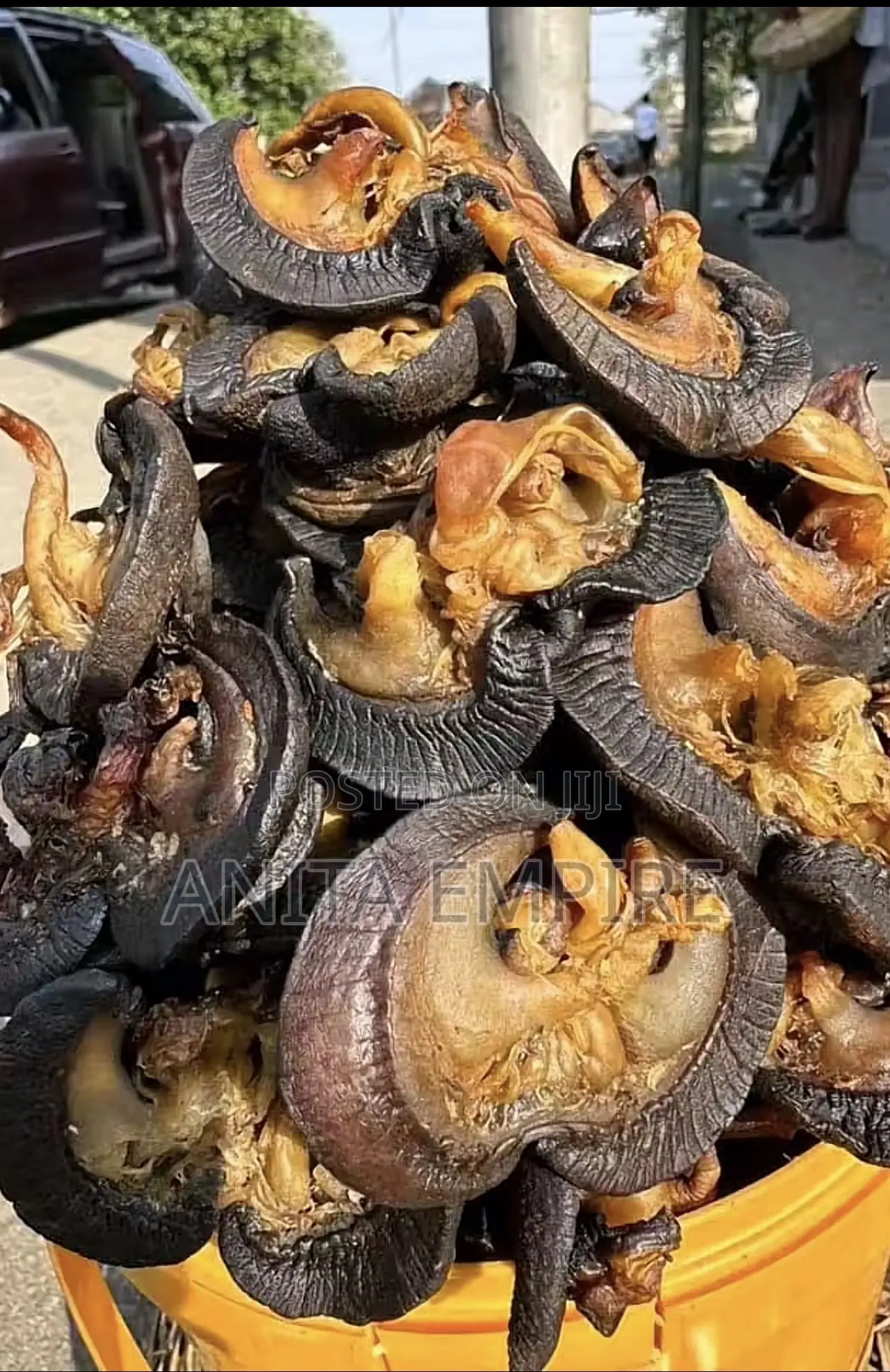 Fresh Snail