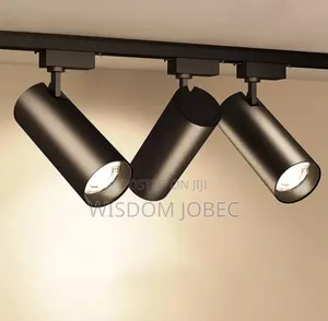Track Light