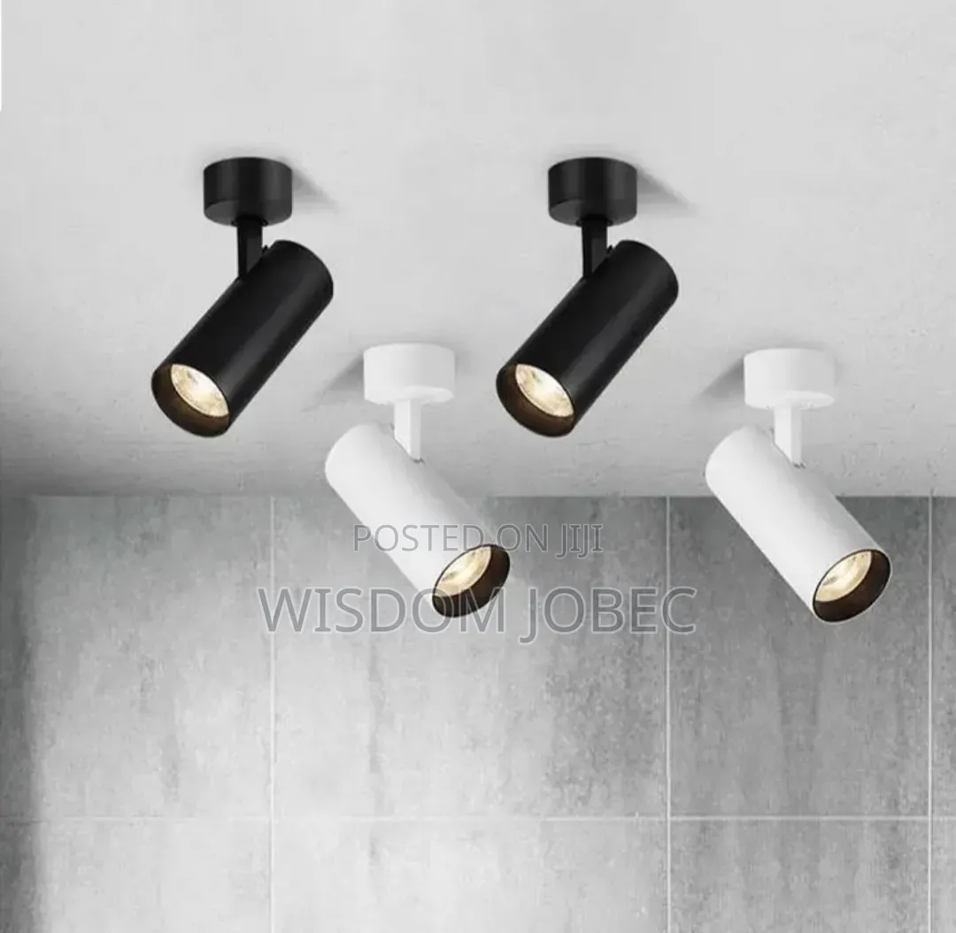 Track Light
