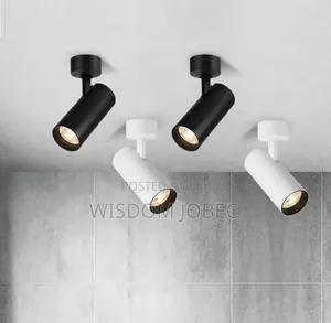 Track Light