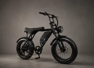 Electric Bicycle 500w Motor 48v15.6ah Battery 20inch Fat Tire Off-Road