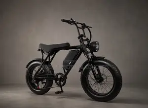 Electric Bicycle 500w Motor 48v15.6ah Battery 20inch Fat Tire Off-Road