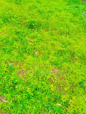 710sqm Residential Land At Oluyole