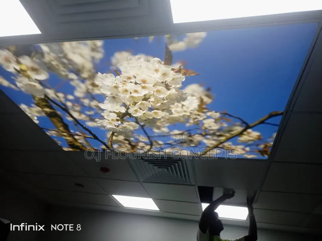Beautiful Stretch Ceiling