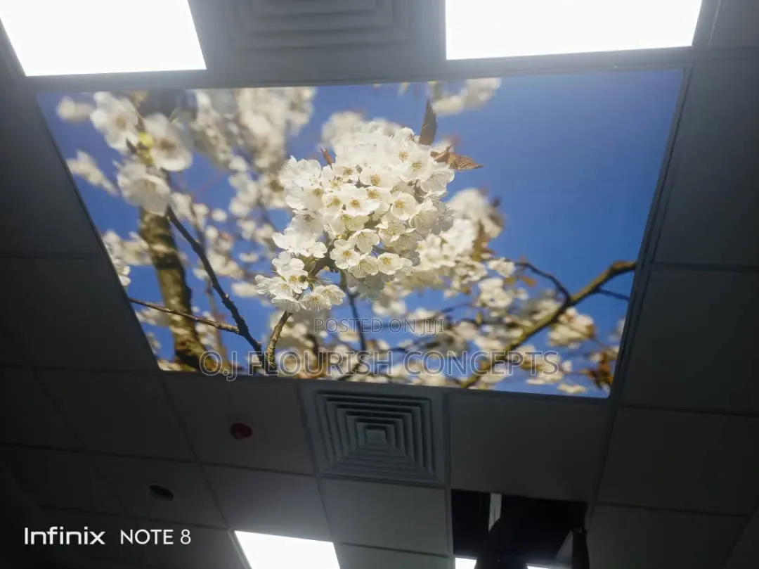 Just as Seen Stretch Ceiling
