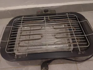 Electric Grill