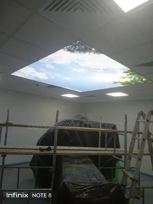 3d Stretch Ceiling in a Suspended Ceiling