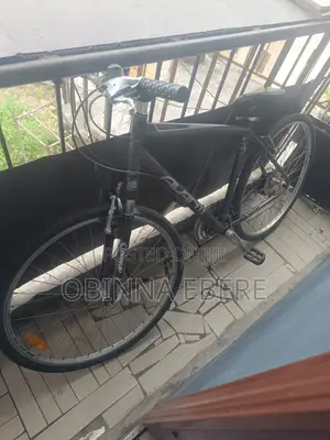 Adult Bicycle