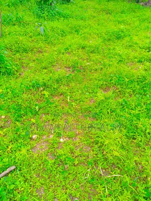 2,225sqm Private Housing Land at Jahi Gilmore