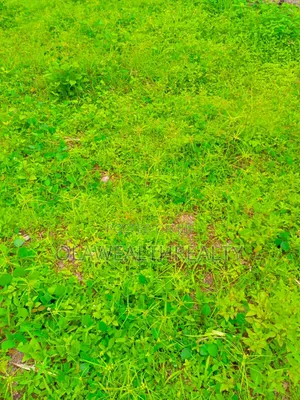 1,300sqm Residential Land at Kolapo Ishola Gra