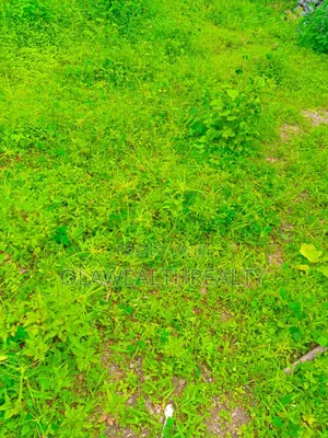 12.16hectares Housing Estate Land at Maitama 2