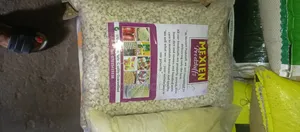 Premium White Beans for Sale
