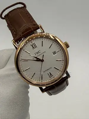 High Quality Luxury Iwc Schaffhausen Leather Wristwatch