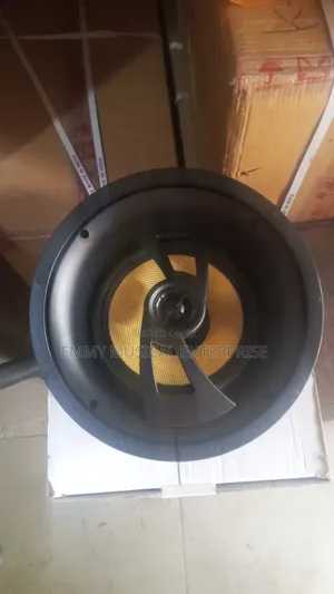 Passive Ceiling Speaker