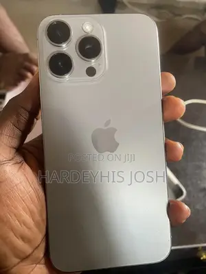 Apple iPhone 15 Pro Max 256 GB Gray
