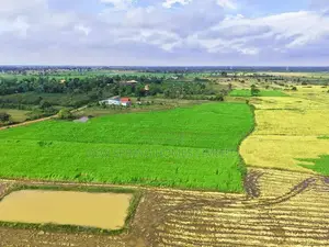 Residential Land