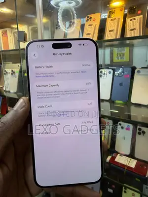 Apple iPhone 15 Pro Max 256 GB Silver