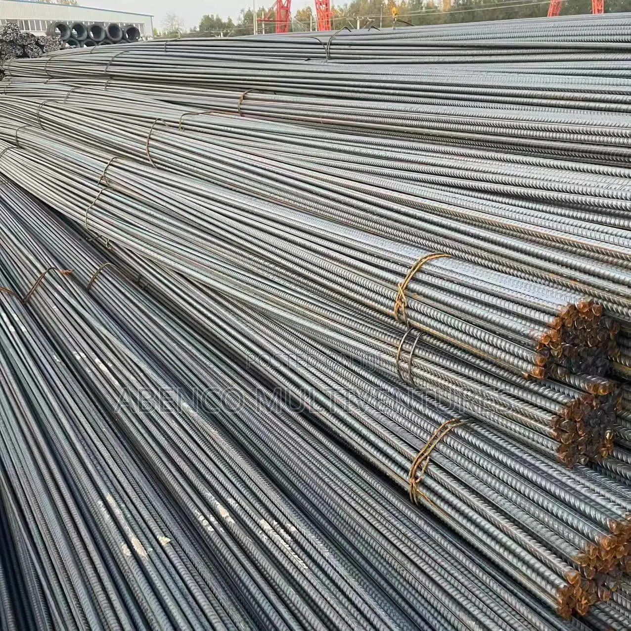 Standard Eagle Reinforcement