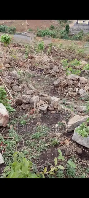 Land on Sell.