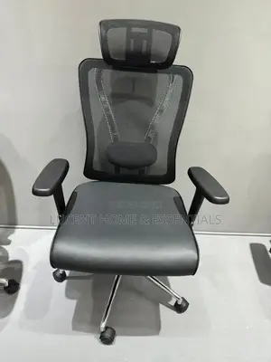 Ergonomic High-Back Mesh Office Chair