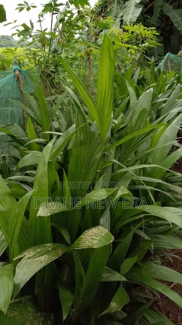 Agrevia Farms .