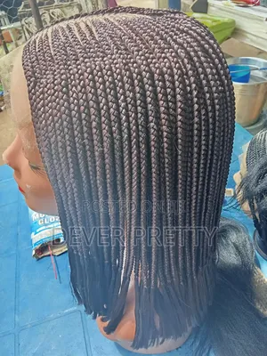 Braided Wig