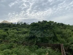 1 Plot of Land