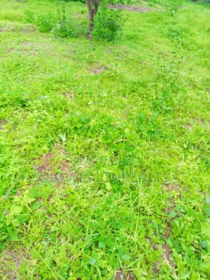 3,000sqm Commercial Land at Deidei